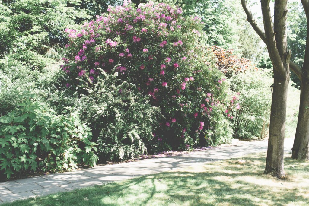 Villa-Verde-Saamborgh-Tuin-Bloemen
