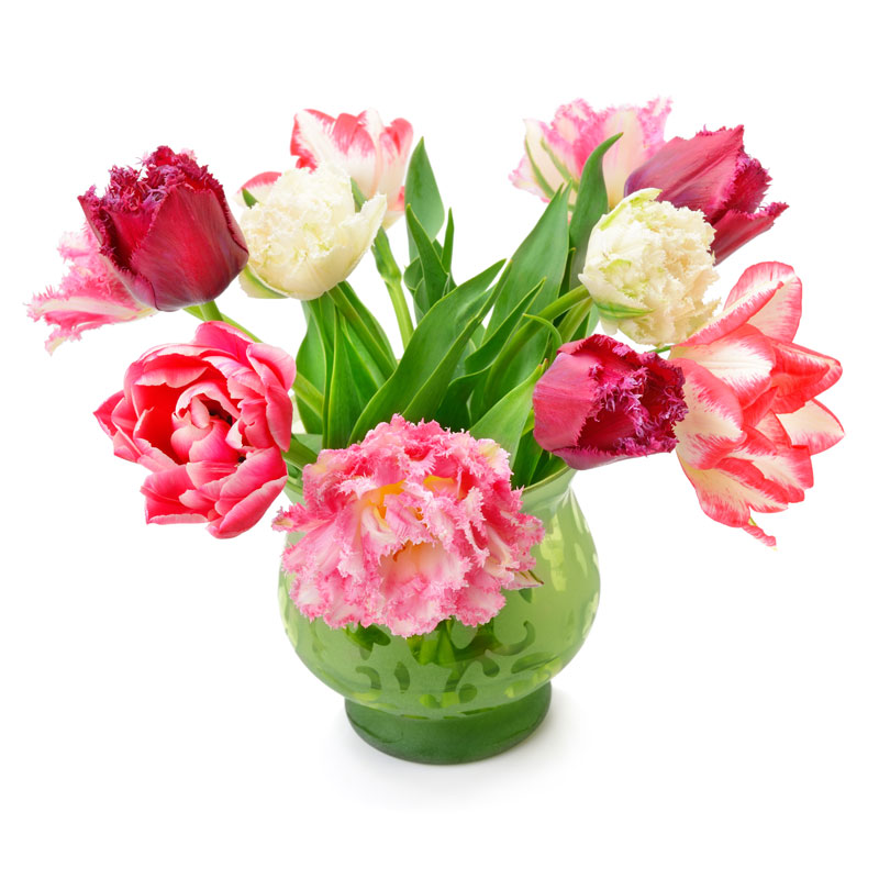bloemen bij saamborgh